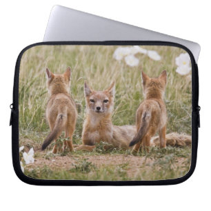 Capa Para Notebook Raposa Veloz (Vulpes velox) fêmea com filhotes em