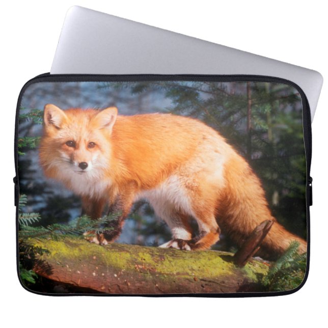 Capa Para Notebook Raposa Vermelha em um tronco (Frente)