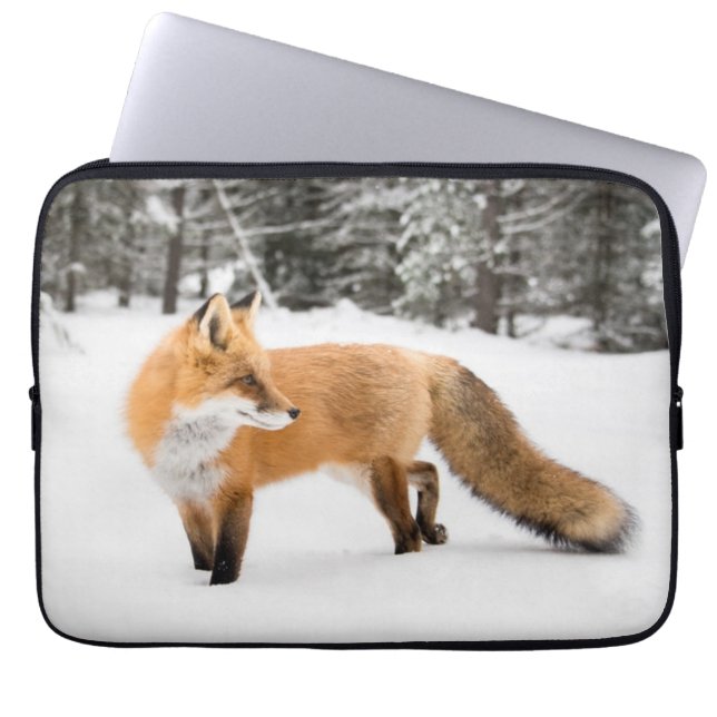 Capa Para Notebook Raposa Vermelha na Neve Branca (Frente)