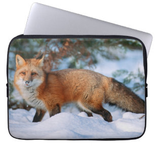 Capa Para Notebook Raposa Vermelha Neve no Inverno, Montana