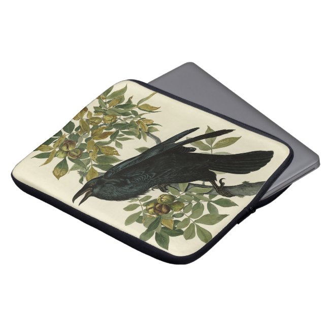 Capa Para Notebook Raven (Common Raven) das Aves da América de Audubo (Frente Topo)