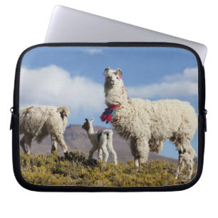 Capa Para Notebook Rebanho de lamas decorados na Puna, cordilheira do