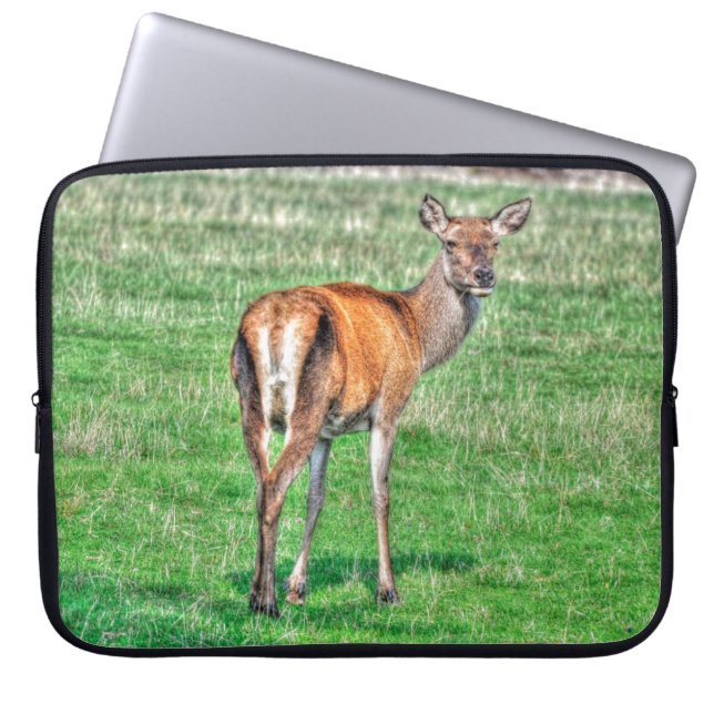 Capa Para Notebook Red Deer & Field Willife Animal Design (Frente)