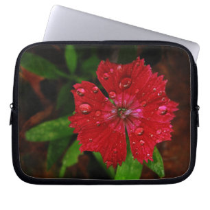 Capa Para Notebook Red Dianthus com Raindrots