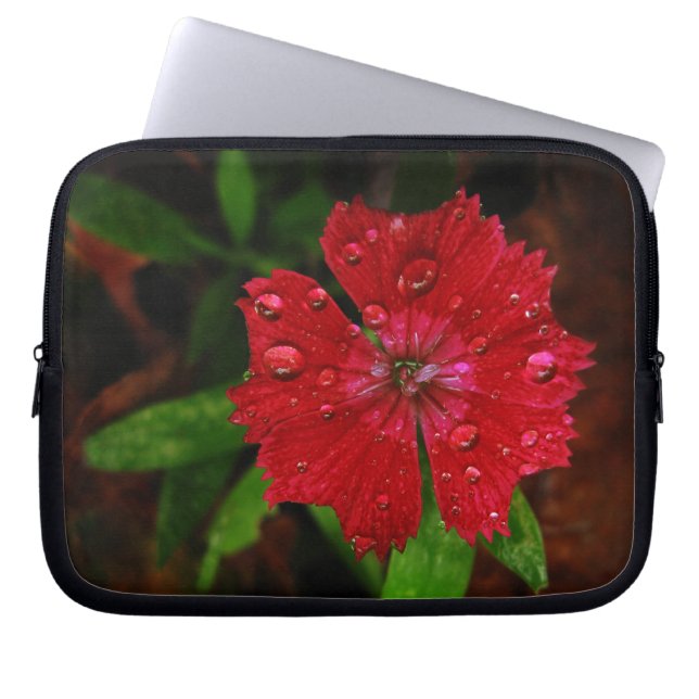 Capa Para Notebook Red Dianthus com Raindrots (Frente)