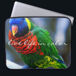 Capa Para Notebook Red Green Lorikeet Bird Photo Live Life in Color<br><div class="desc">Siga o exemplo deste companheiro vermelho, azul, verde e amarelo e assegure-se de viver a vida ao máximo, "vivendo a cor." Esta bolsa de laptop neoprene de fotografia, feliz e multiabanada, trará um sorriso para a sua face toda vez que você a vir. Esta bolsa de laptop tem três tamanhos:...</div>
