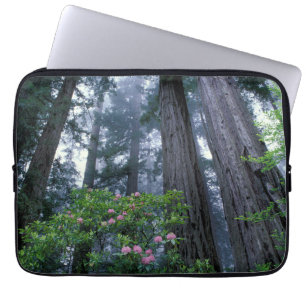 Capa Para Notebook Redwoods da Costa e Rhododendrons
