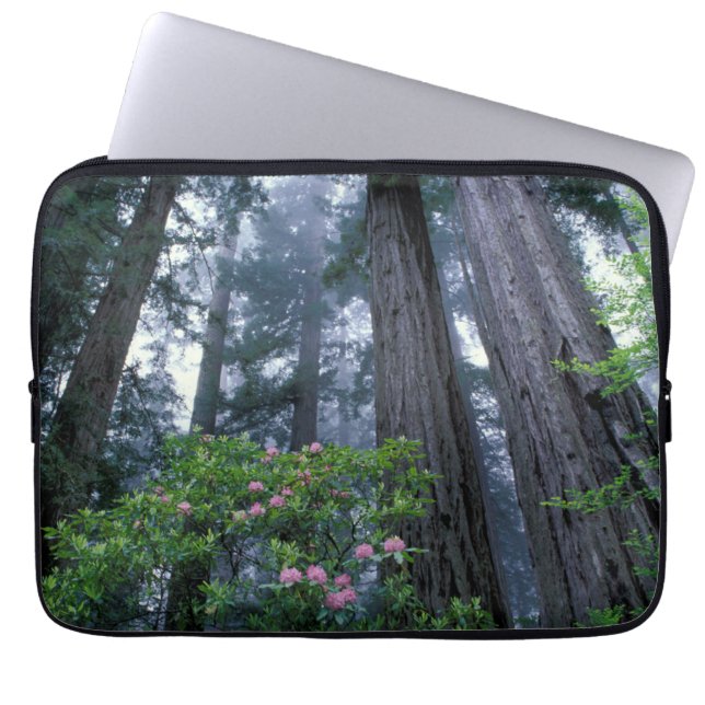 Capa Para Notebook Redwoods da Costa e Rhododendrons (Frente)