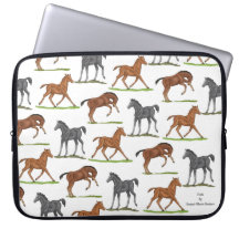 Refeições de cavalos