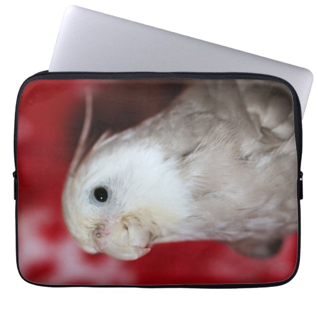 Capa Para Notebook Réplicas (Frente)
