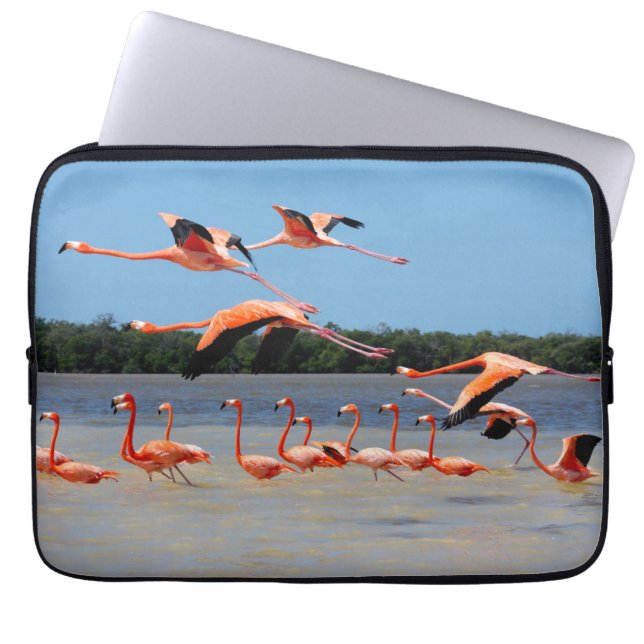 Capa Para Notebook Reserva da biosfera de Celestun (Frente)
