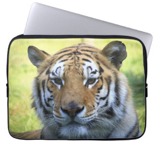 Capa Para Notebook Retrato bonito do tigre