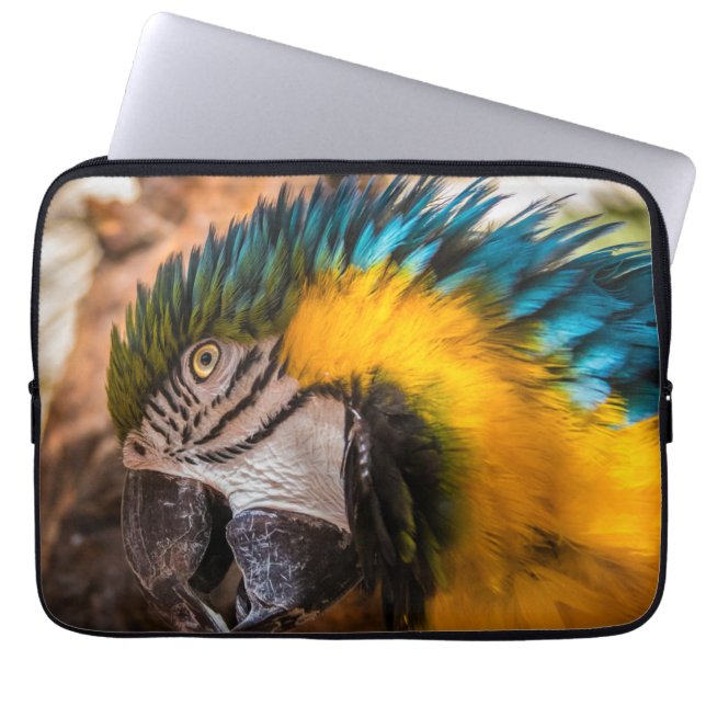 Capa Para Notebook Retrato de arara azul e amarela (Frente)