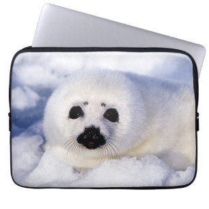Capa Para Notebook Retrato de um Filhote de Foca-da-groenlândia