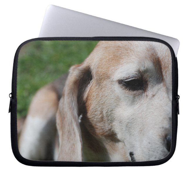 Capa Para Notebook retrato do beagle (Frente)