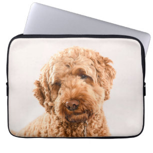 Capa Para Notebook Retrato do Goldendoodle Studio
