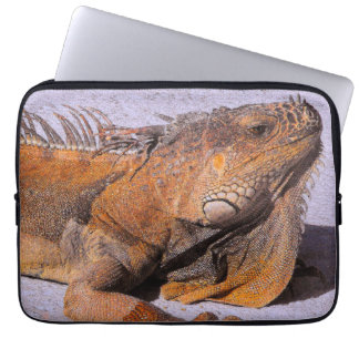 Capa Para Notebook Retrato do Iguana