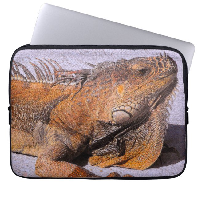 Capa Para Notebook Retrato do Iguana (Frente)