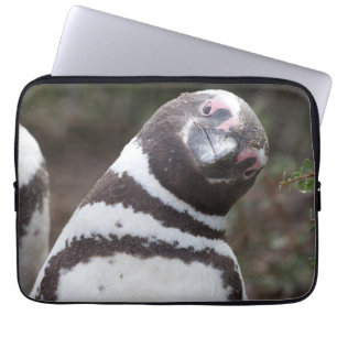 Capa Para Notebook Retrato do pinguim de Magellanic
