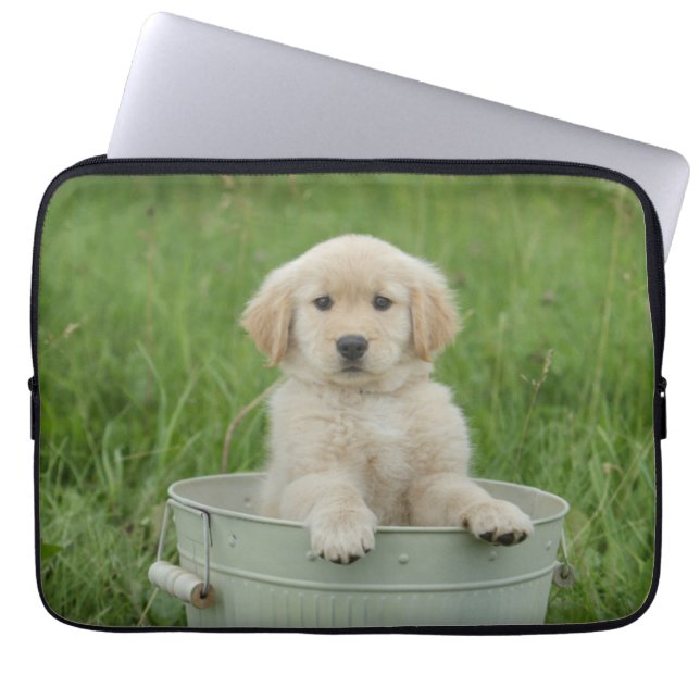Capa Para Notebook Retriever De Ouros Em Lavagem (Frente)