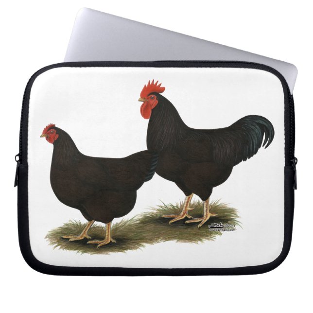 Capa Para Notebook Rhode Island Red Bantams (Frente)