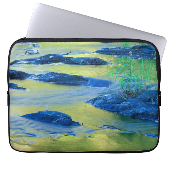 Capa Para Notebook Rio Lamprey | Nova Hampshire (Frente)