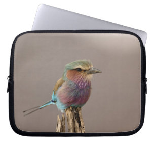 Capa Para Notebook Rola-azul-de-peito-lilás, Coracias caudata, Sambur