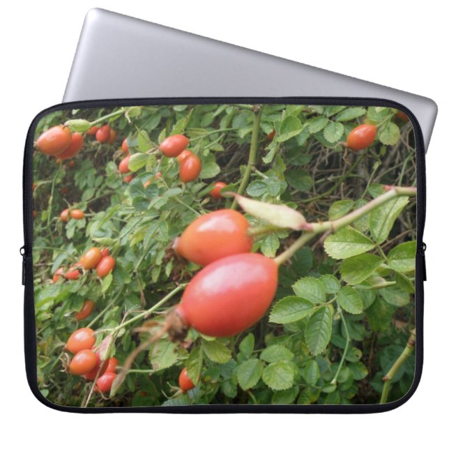 Capa Para Notebook Rosa vermelha Suculenta Hips Laptop Bag (Frente)