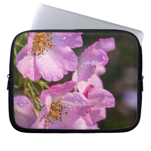 Capa Para Notebook Rosas Rosa (Frente)