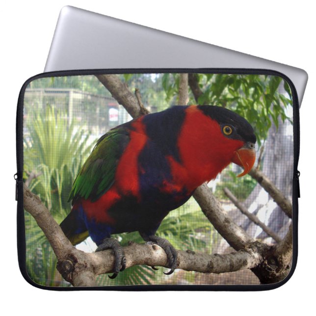 Capa Para Notebook Rosto Cheeky Rainbow Lorikeet, (Frente)