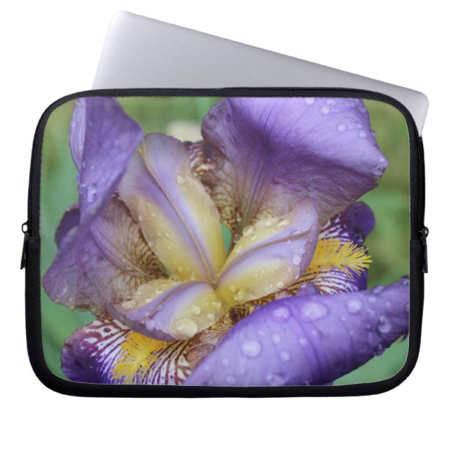 Capa Para Notebook Roxo Iris (Iris Germanica) (Frente)