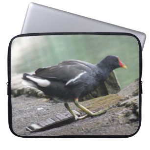 Capa Para Notebook Saco do Laptop Moorhen
