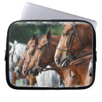 Saco eqüino dos eletrônicos da mostra do cavalo