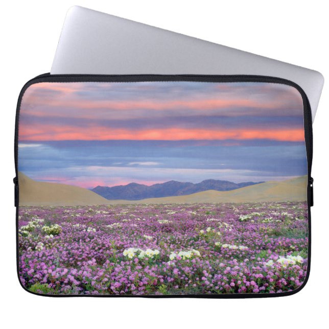Capa Para Notebook Sand Verbena & Dune Primrose Wildflower no Sunset (Frente)