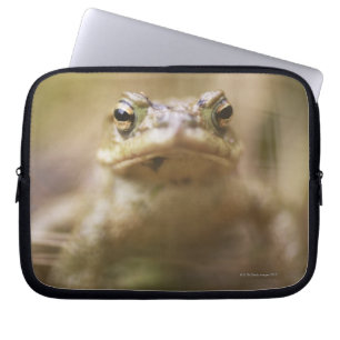 Capa Para Notebook Sapo do dia