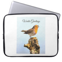 Saudações de Inverno. Robin cantando