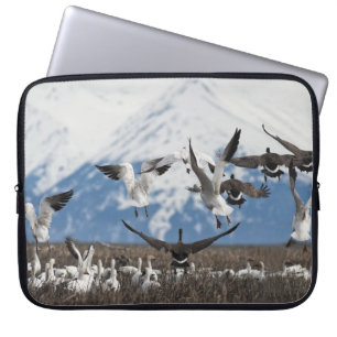 Capa Para Notebook Scattering Geese
