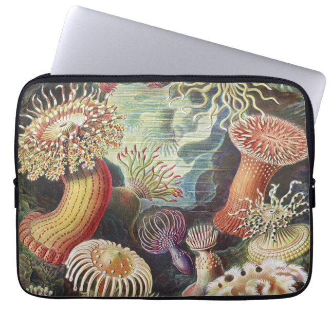 Capa Para Notebook Sea Anemones, Actiniae Seeanemonen Ernst Haeckel (Frente)