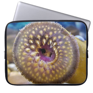 Capa Para Notebook Sea Lamprey Mouth