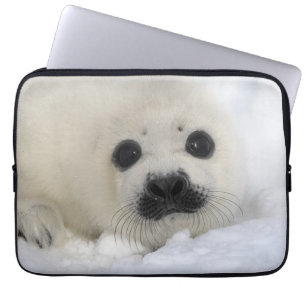 Capa Para Notebook Selo de harpa do bebê