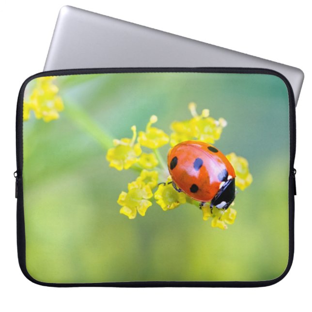Capa Para Notebook senhora por cima (Frente)