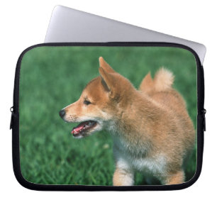 Capa Para Notebook Shiba minúsculo japonês