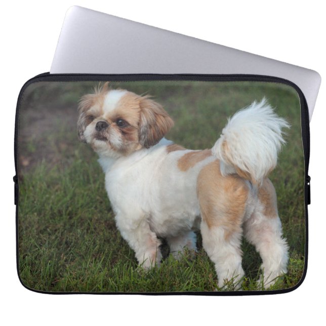Capa Para Notebook Shuth Tzu (Frente)
