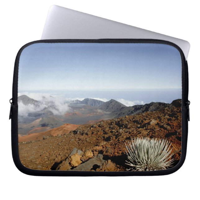 Capa Para Notebook Silversword no cume da cratera Haleakala de perto (Frente)