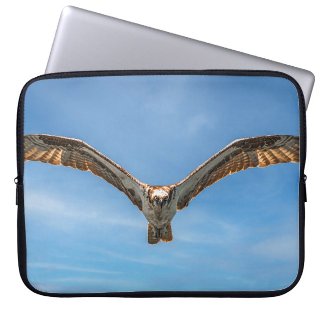 Capa Para Notebook Sky Sovereign: Osprey in Flight (Frente)