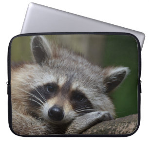 Capa Para Notebook Sleepy Raccoon