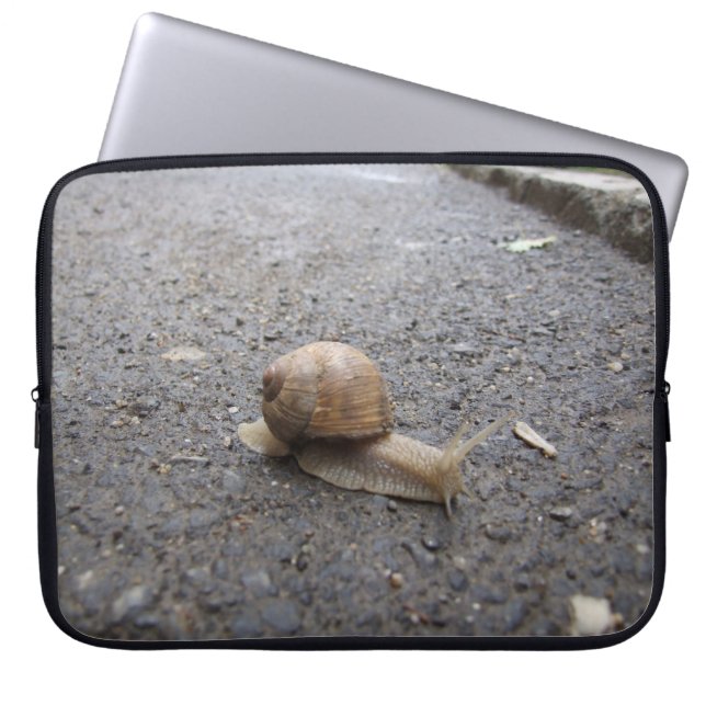 Capa Para Notebook Snail Walk (Frente)