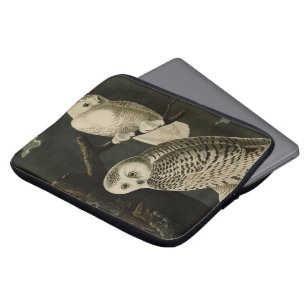 Capa Para Notebook Snowy Owl, Pássaros da América de John James Audub