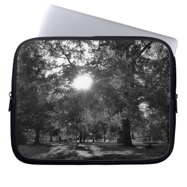 Capa Para Notebook Sol brilhando através de árvores (Frente)