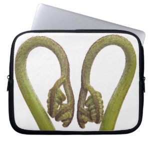 Capa Para Notebook Sprouts 2 da samambaia